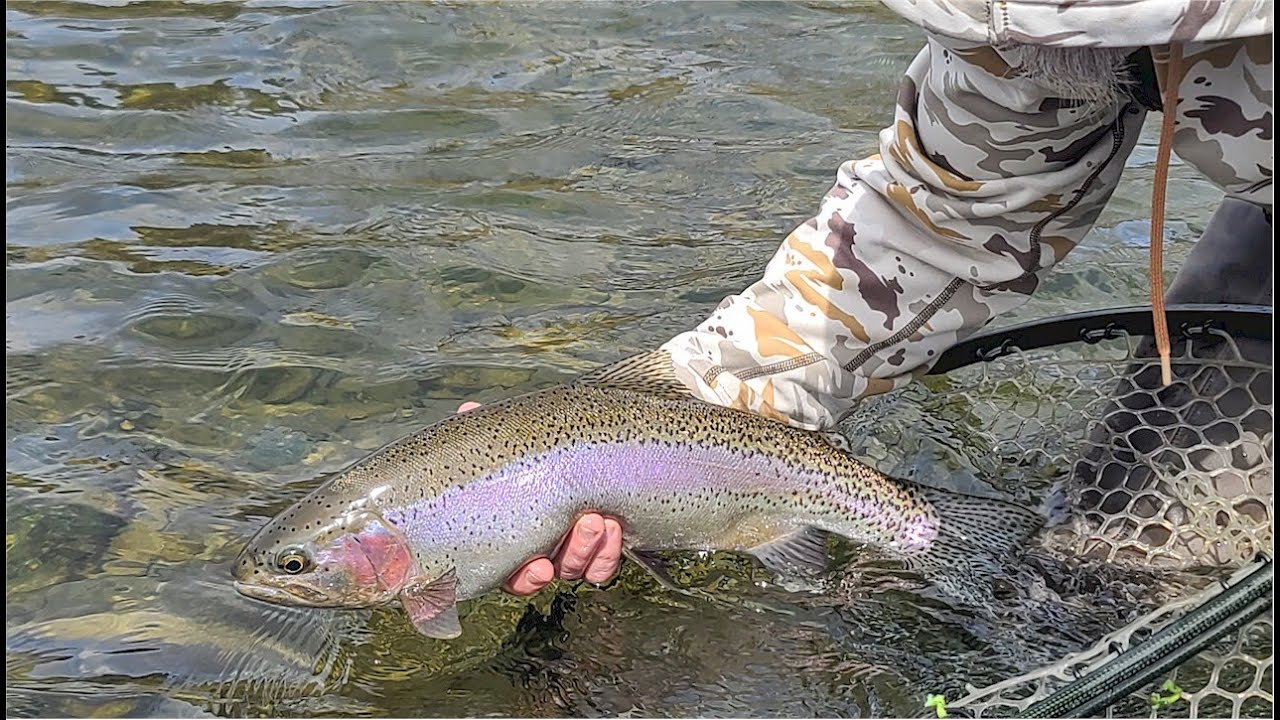 Yakima River Fly Fishing ReportApril 27th, 2023Worley Bugger Fly Co