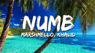 Download Lagu Marshmello, Khalid - Numb (Lyrics) MP3 Download Lagu Marshmello, Khalid - Numb (Lyrics) MP3