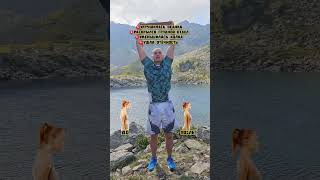 Как укрепить спину, чтобы она не болела? #болитспина #спинаболит #остеохондроз #гимнастикадома