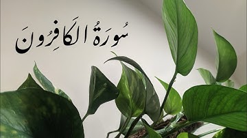 سورة الكافرون- ماهر المعيقلي Surah Al Kafiroon - Maher Almu’aiqly