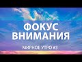 Фокус внимания на себя // Проект "Мирное утро" #3