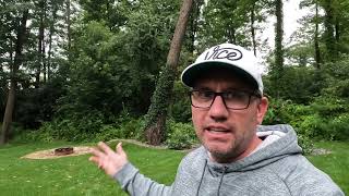 A Very Bad Day for American Chestnut Trees