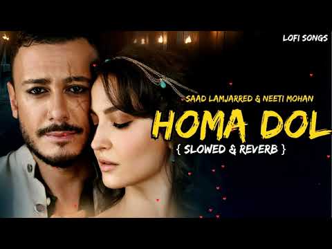 Homa Dol (Slowed + Reverb) - Saad Lamjarred, Neeti Mohan | Anshul3zx
