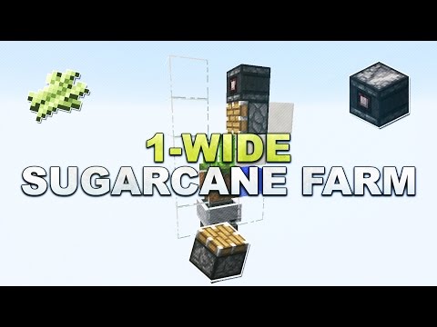Minecraft - Automatyczny trzciny cukrowej Farm // Zuckerrohr Farm - Tutorial 1,16