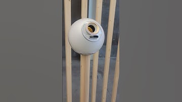 I Just Scanned My Eye for Worldcoin - Now It
