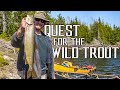 Quest for the Wild Trout - Portaging into a Remote Native Trout Lake for Spring Fishing &amp; Camping