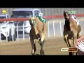 الشوط 1 مبشرة لـ سالم أحمد الفلاحي جائزة زايد الكبرى الجمعة 2019 12 6 الوثبة حول 