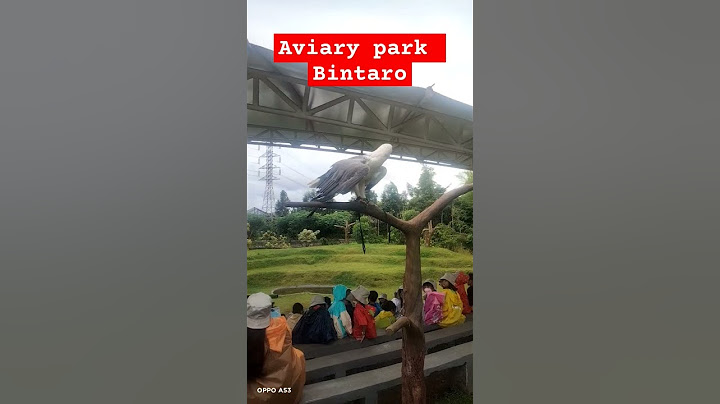 Aviary park bintaro #funny #viralvideo #videoshort #viralshort