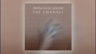Monzanto Sound - Til Next Time [Audio]