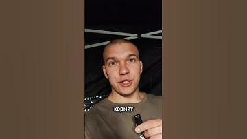 Чем кормят участников шоу "Погоня" на ТНТ