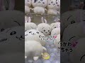 なぬぬ！！👾UFOキャッチャーを楽しむ👾ちぃかわ
