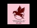 Mr guru  pegasus