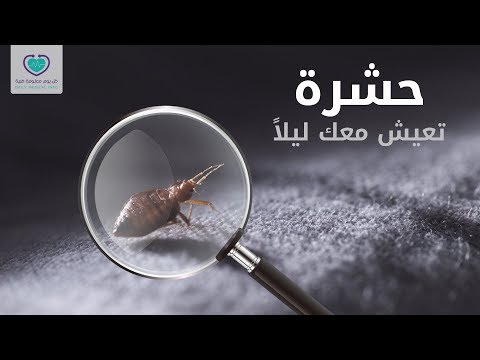 فيديو: هل تتغذى طفيليات الكلاب على الدم؟