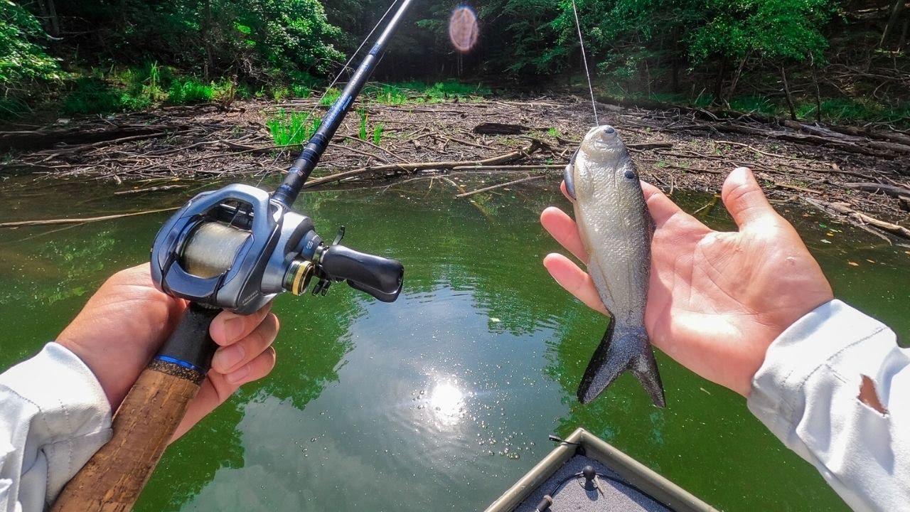 Fishing New UNRELEASED SWIMBAIT For Deep Summer Bass (day was ruined) 