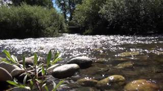 Grayling Creek where it crosses in to Parade Rest Ranch, part 2
