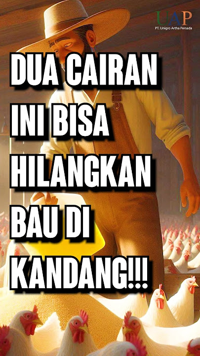 These Two Liquids Can Eliminate Coop Odors!!! #CoopOdor #ChickenCoop #ChickenFarming