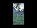 Pet Goats 'Saved' Trapped Family After Massive Oklahoma Tornado