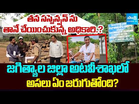 What Is Happening In Jagtial Forest Department | DRO Mahesh Goud Suspension | Sakshi TV - SAKSHITV
