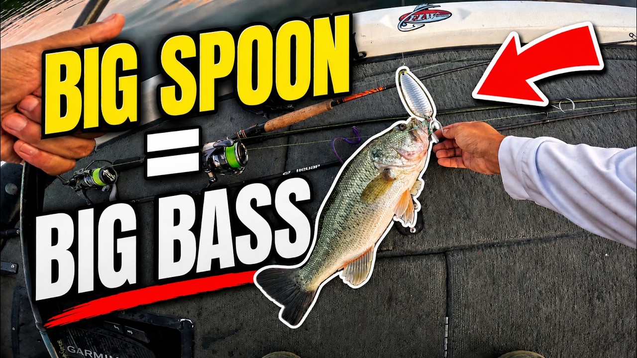 Throwing BIG Spoons for Big Summer Bass