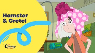 Hamster & Gretel | Invisível