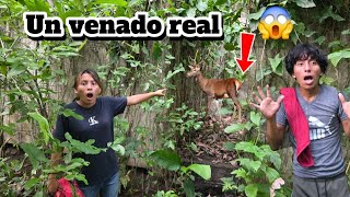 Encontramos un venado en esta casa 🏡 abandonada 😱Ever gritaba de emoción al verlo 