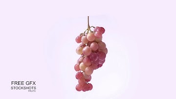 Bunch of Grapes royalty free stock footage