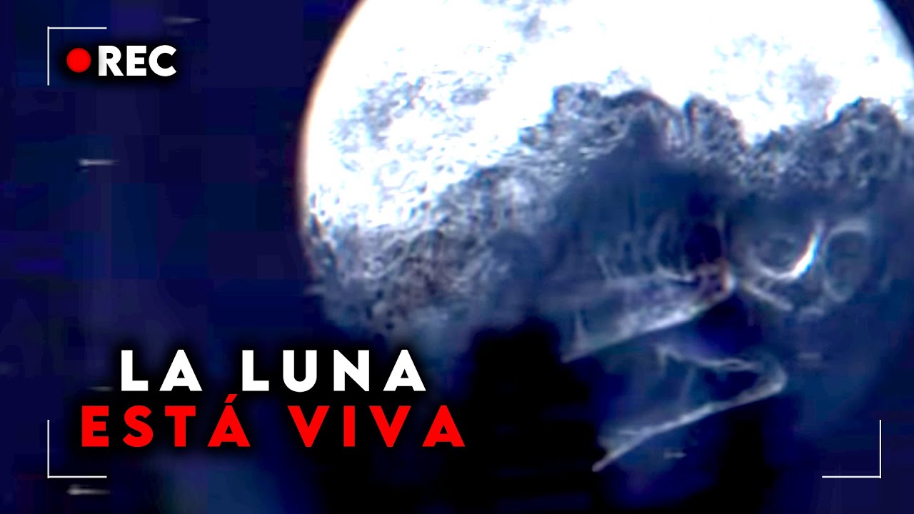 LOCAL 58 | El Canal que MANIPULÓ Todo ESTADOS UNIDOS