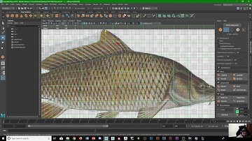 Maya Workflow: Fish Creation
