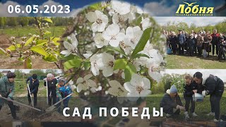 Сад Победы