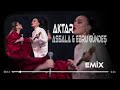 Ah Yar Çağırsan Gelmem Mi - Ebru Gündeş & Assala ( Müslüm Özbay Remix )