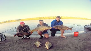 Друзья Личный Рекорд Побит! Спасибо Матушке Природе. Рыбалка На Сазана