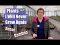 Plants i will not grow again