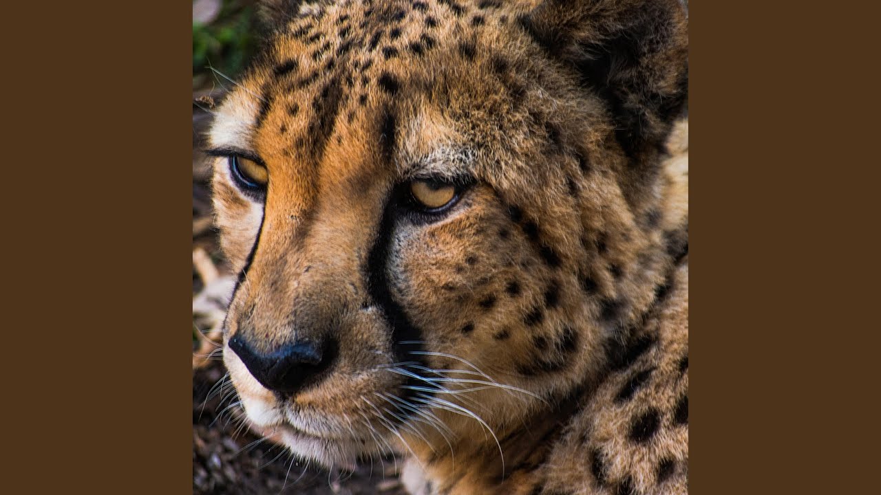 Regardez Advanced sur YouTube Regardez Advanced sur YouTube