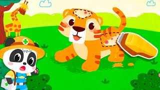 Little Panda Animal Family | Explore the Animal World | Babybus Gameplay Video screenshot 5