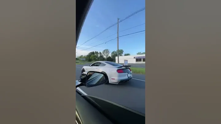 Tesla Plaid Embarrasses Mustang 5.0 Owner With His GF! - DayDayNews