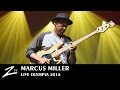 Marcus miller  tutu  blast  olympia 2016  live