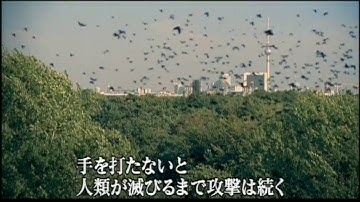 『鳥』　予告編