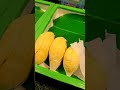 The ART of cutting durian the king of fruits. #shortsfeed #shorts #shortvideo