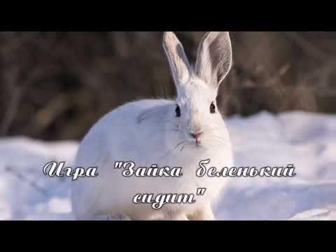 Игра 'Зайка беленький