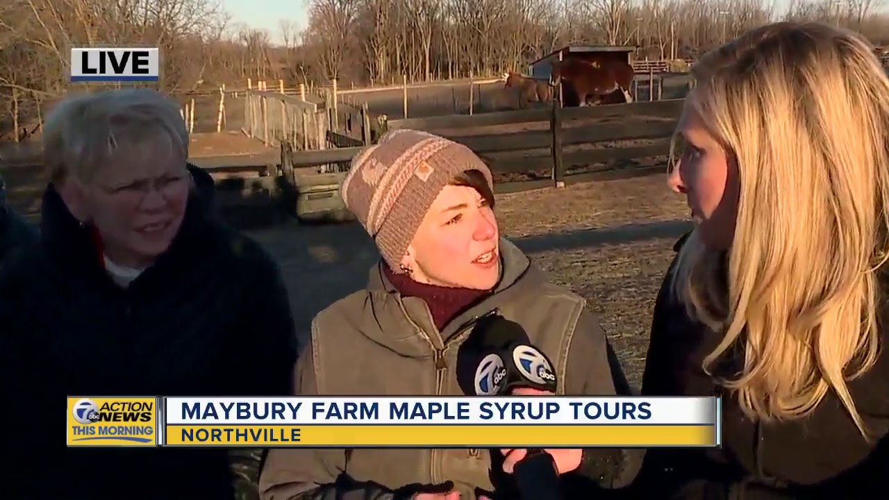 Maybury Farm Maple Syrup Tours YouTube