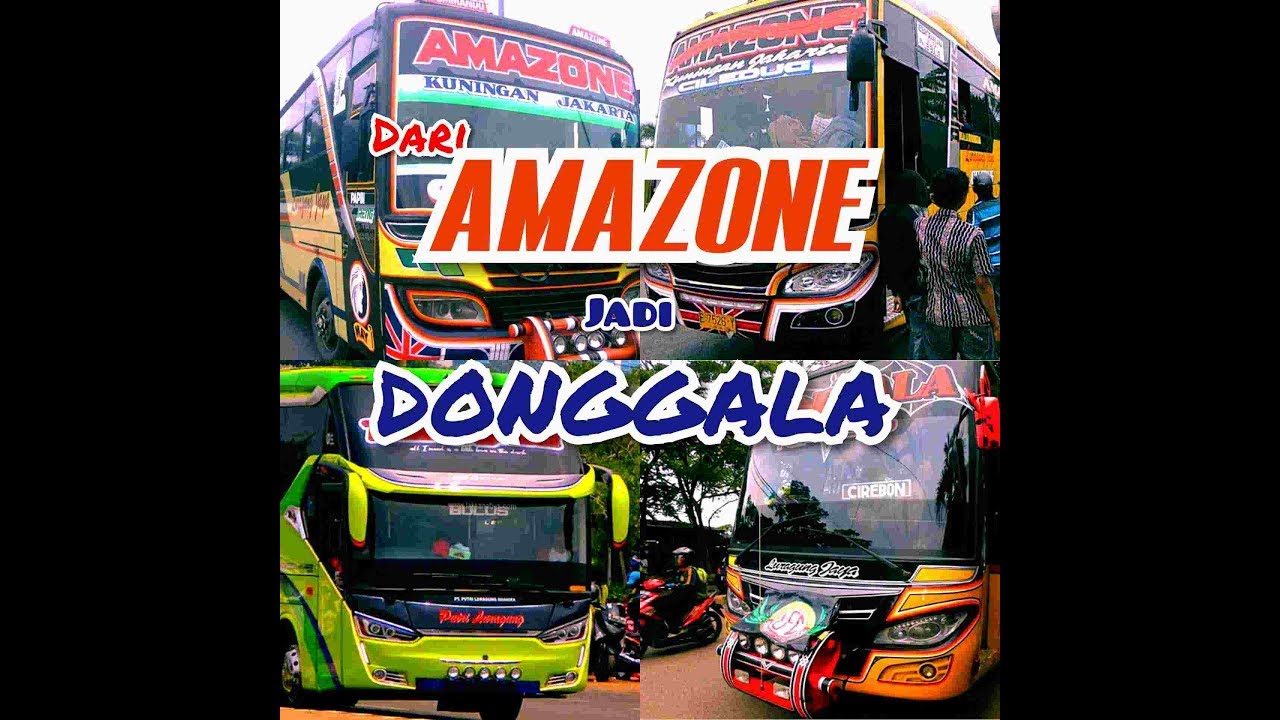 Evolusi AMAZONEA HINGGA JADI DONGGALA Kreo.