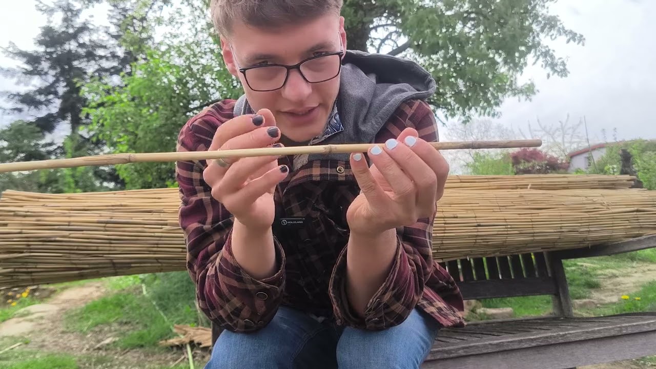 Wie geht denn jetzt ein gutes Insektenhotel?