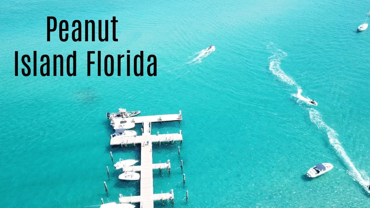 Best Florida Island Peanut Island Snorkeling Palm Beach World