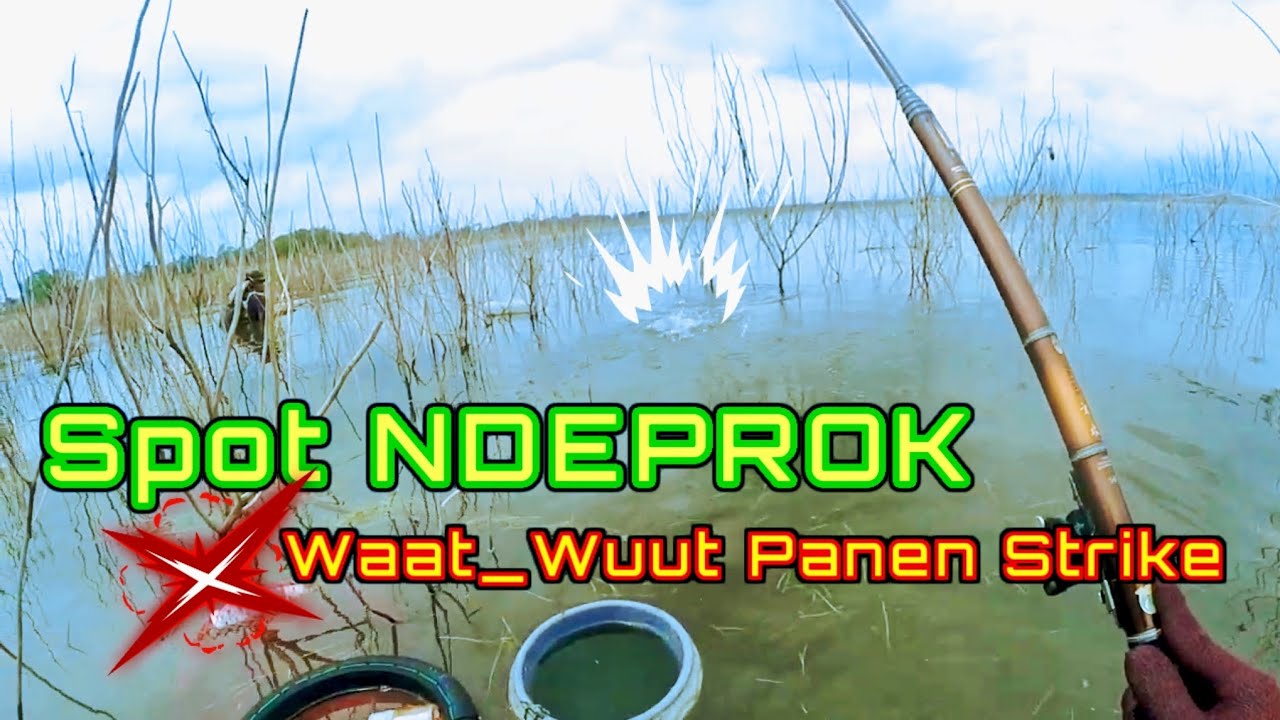 WGM Terbaru‼️Ikan terlalu mudah ||| Paska air waduk naik•••°°
