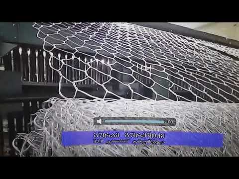 www gabioni.ge გილოცავთ 2019 წელს.