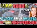 【海外の反応】大寒波で地獄絵図！アメリカで死者60名！テスラ車がゴミの様に放置された街でトヨタ車だけが生き残った！世界でトヨタが爆売れする理由！TOYOTA HYBRID TESLA BYD