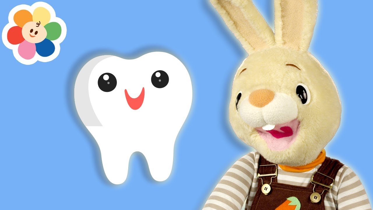Harry The Bunny - Educational Learning Videos for Babies | Baby Shows ...