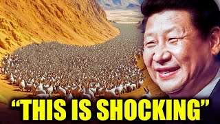 Why China MOVED 1 Million Rabbits to the Desert!