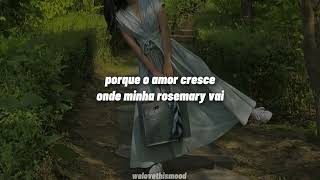 Love Grows - Edison Lighthouse Tradução Where My Rosemary Goes