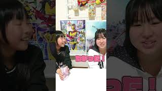 モンチッチはどっち?さくらの場合 #shorts #さくら #sakura
